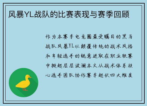 风暴YL战队的比赛表现与赛季回顾